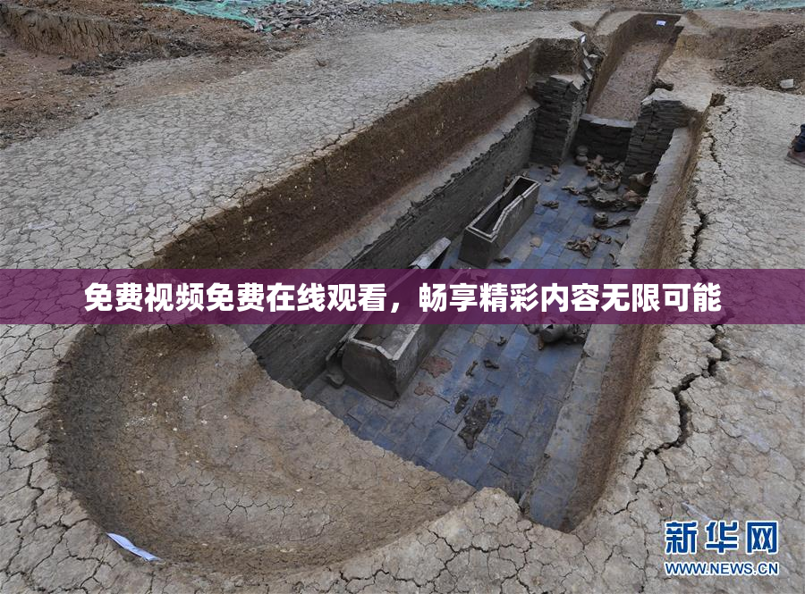 免费视频免费在线观看，畅享精彩内容无限可能