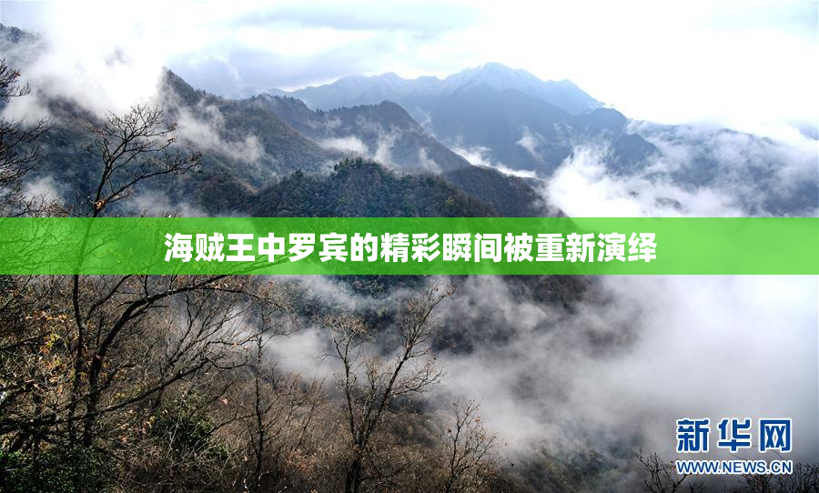 海贼王中罗宾的精彩瞬间被重新演绎