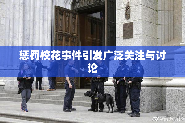 惩罚校花事件引发广泛关注与讨论