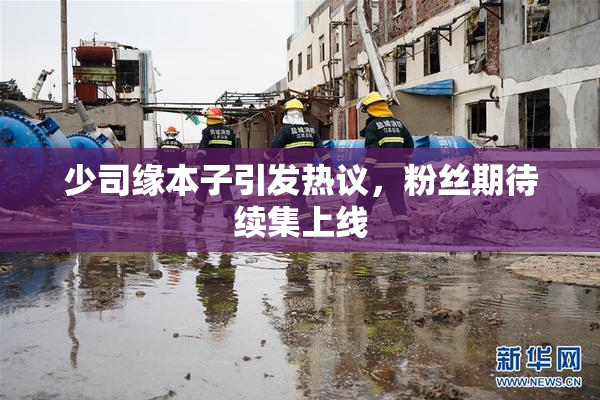 少司缘本子引发热议，粉丝期待续集上线