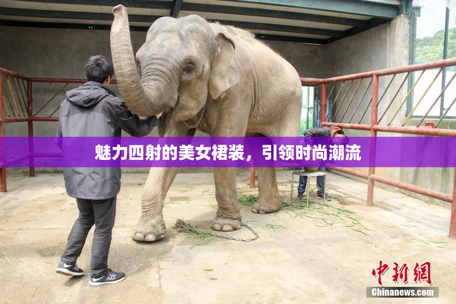 魅力四射的美女裙装，引领时尚潮流