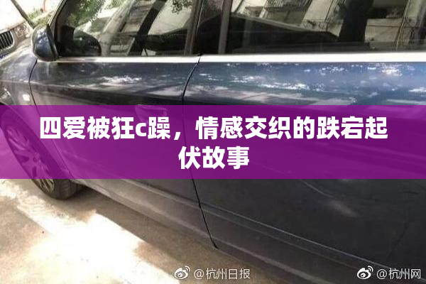 四爱被狂c躁，情感交织的跌宕起伏故事