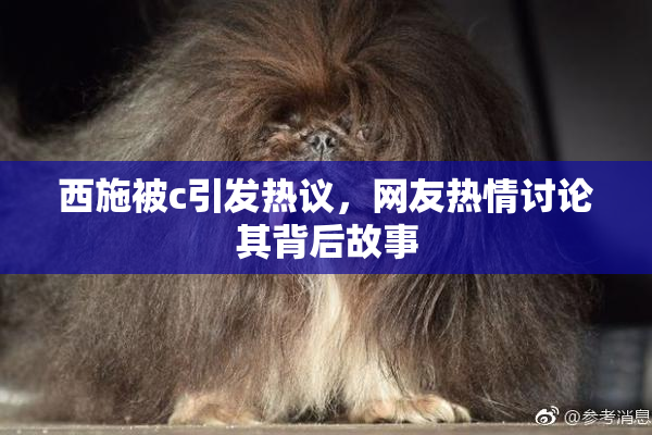 西施被c引发热议，网友热情讨论其背后故事