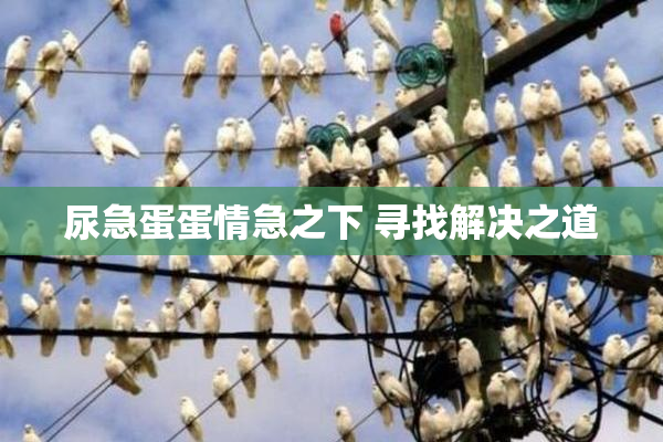 尿急蛋蛋情急之下 寻找解决之道