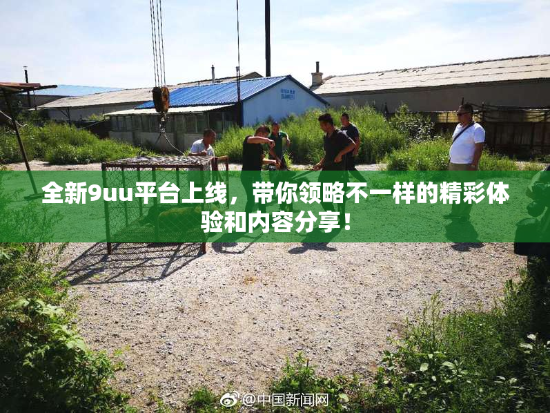 全新9uu平台上线，带你领略不一样的精彩体验和内容分享！