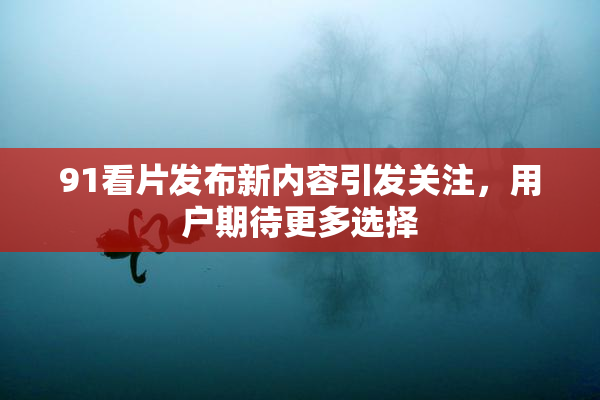 91看片发布新内容引发关注，用户期待更多选择