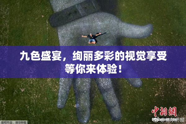 九色盛宴，绚丽多彩的视觉享受等你来体验！