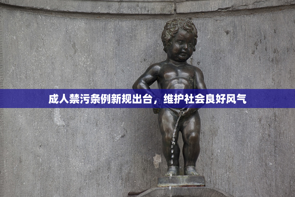 成人禁污条例新规出台，维护社会良好风气