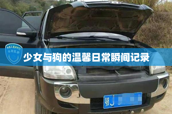 少女与狗的温馨日常瞬间记录