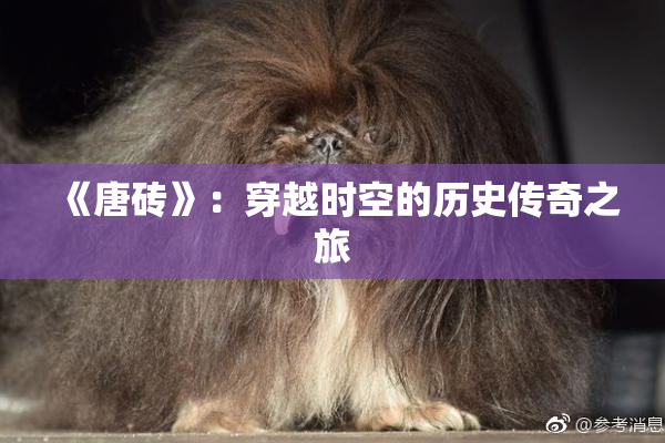 《唐砖》：穿越时空的历史传奇之旅