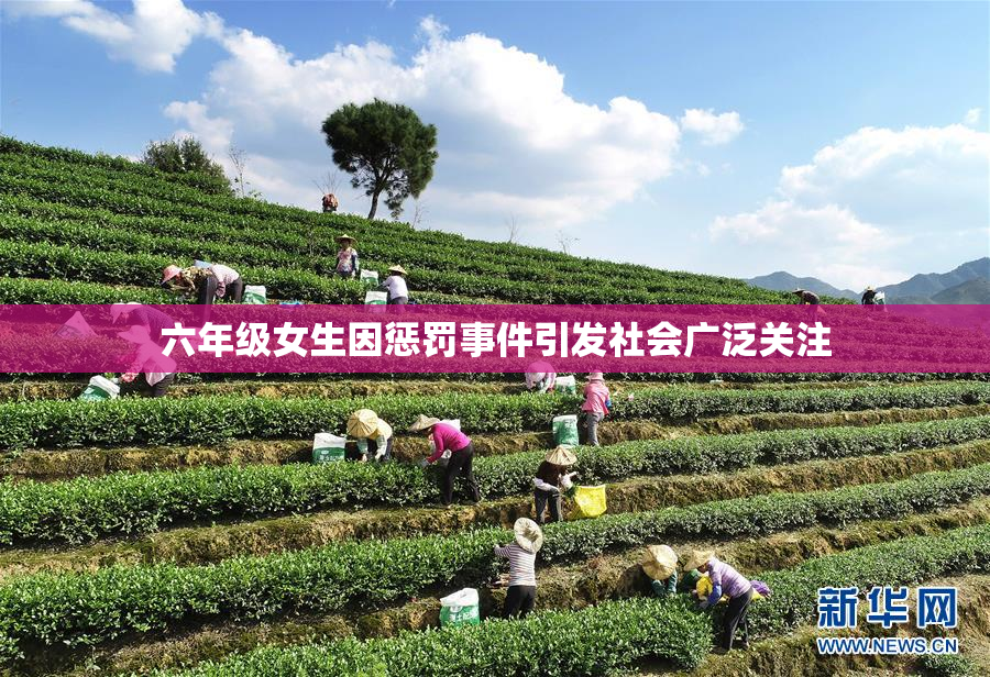 六年级女生因惩罚事件引发社会广泛关注