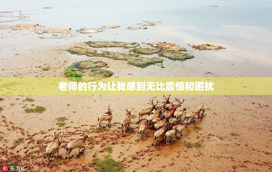 老师的行为让我感到无比震惊和困扰