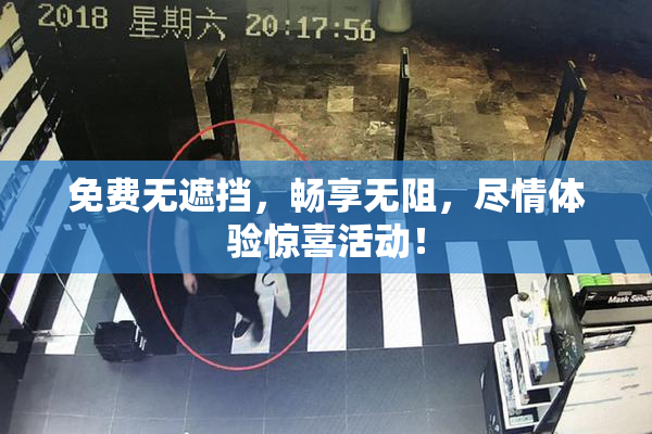 免费无遮挡，畅享无阻，尽情体验惊喜活动！