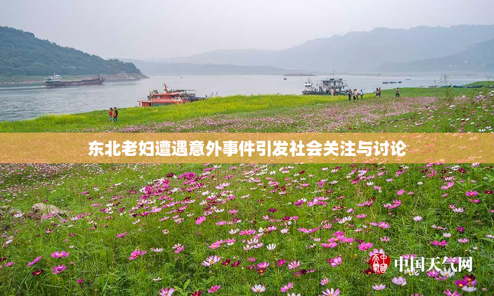东北老妇遭遇意外事件引发社会关注与讨论