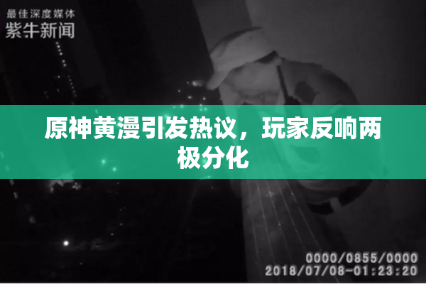 原神黄漫引发热议，玩家反响两极分化