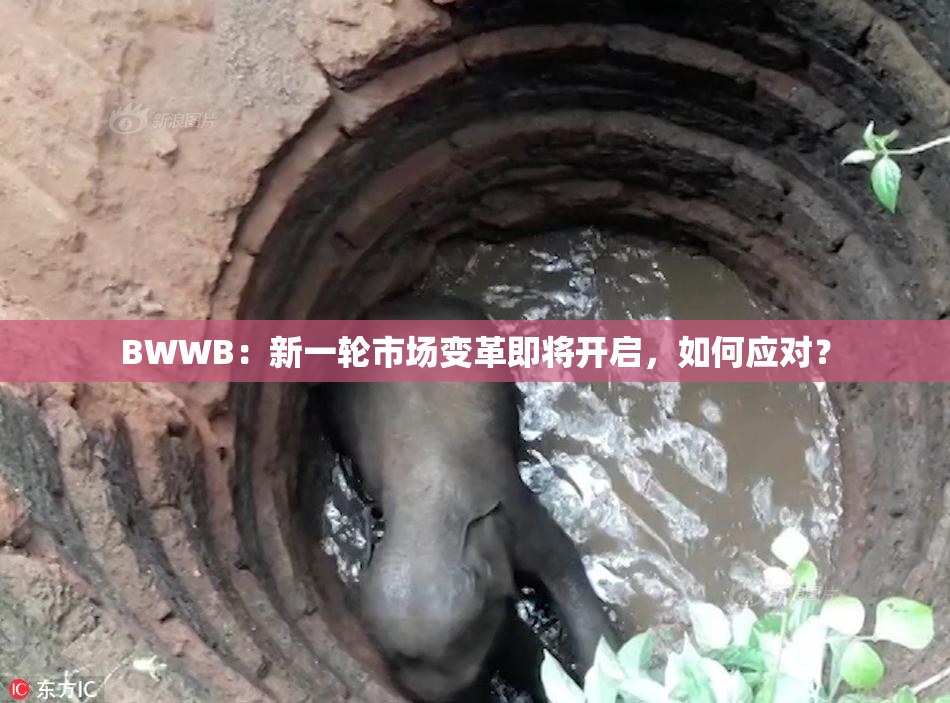 BWWB：新一轮市场变革即将开启，如何应对？
