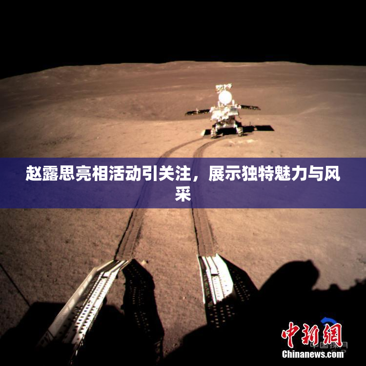 赵露思亮相活动引关注，展示独特魅力与风采