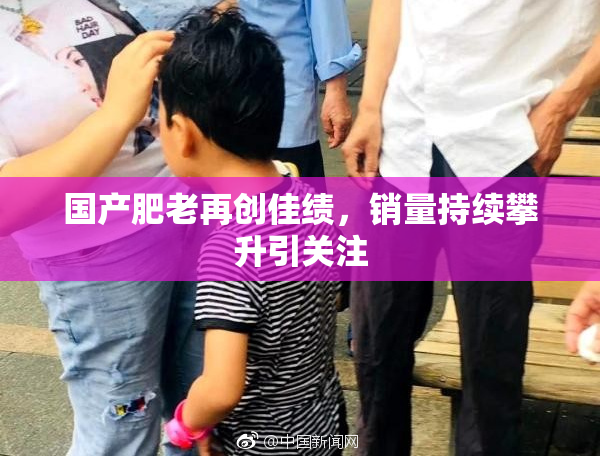国产肥老再创佳绩，销量持续攀升引关注