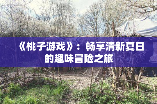 《桃子游戏》：畅享清新夏日的趣味冒险之旅