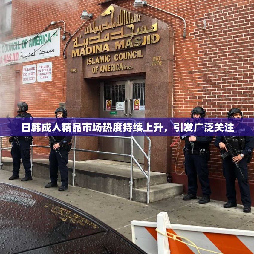 日韩成人精品市场热度持续上升，引发广泛关注