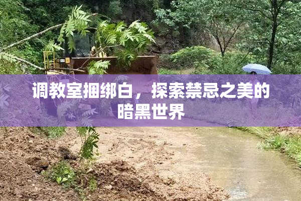 调教室捆绑白，探索禁忌之美的暗黑世界