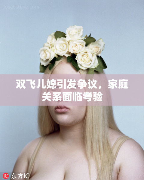双飞儿媳引发争议，家庭关系面临考验