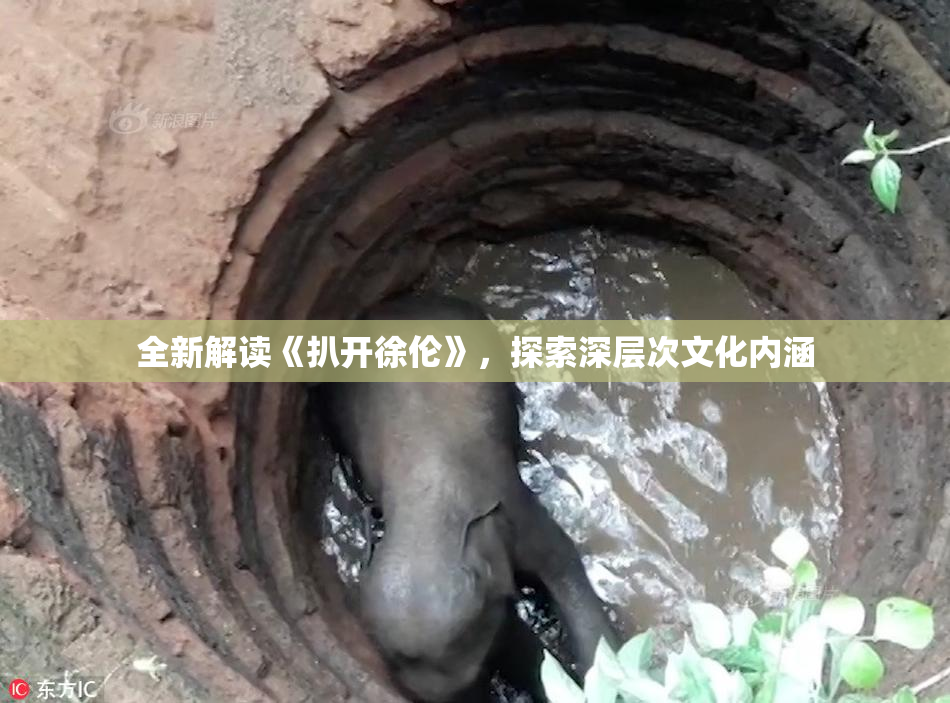 全新解读《扒开徐伦》，探索深层次文化内涵