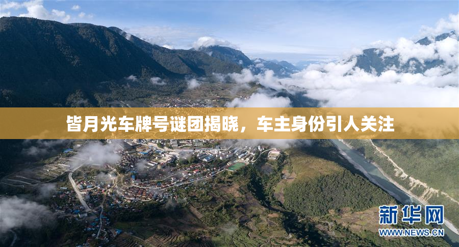 皆月光车牌号谜团揭晓，车主身份引人关注