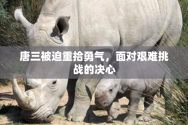 唐三被迫重拾勇气，面对艰难挑战的决心
