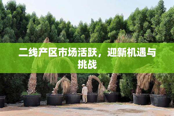 二线产区市场活跃，迎新机遇与挑战