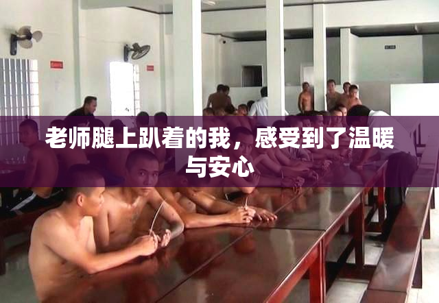 老师腿上趴着的我，感受到了温暖与安心