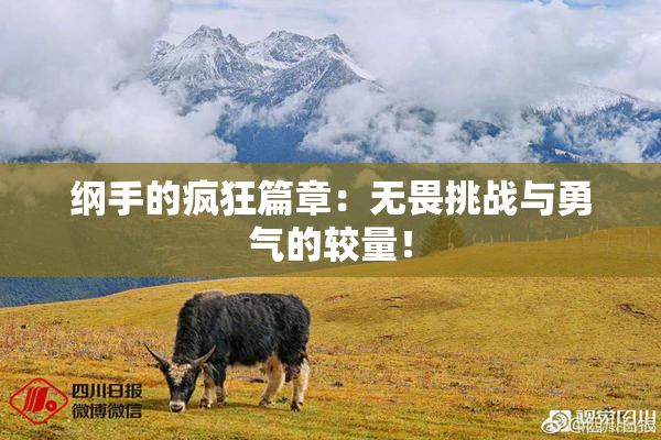 纲手的疯狂篇章：无畏挑战与勇气的较量！