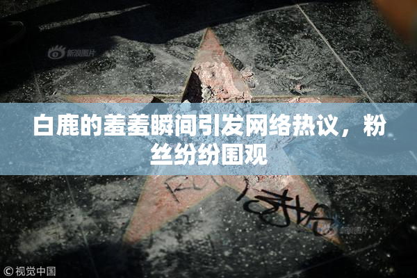 白鹿的羞羞瞬间引发网络热议，粉丝纷纷围观