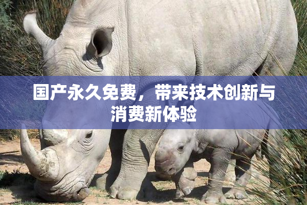 国产永久免费，带来技术创新与消费新体验