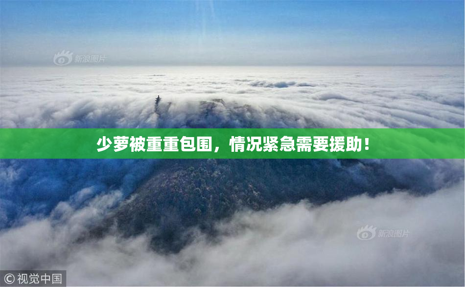 少萝被重重包围，情况紧急需要援助！