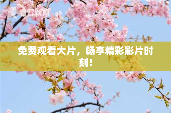 免费观看大片，畅享精彩影片时刻！