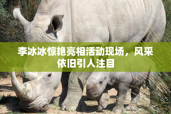 李冰冰惊艳亮相活动现场，风采依旧引人注目
