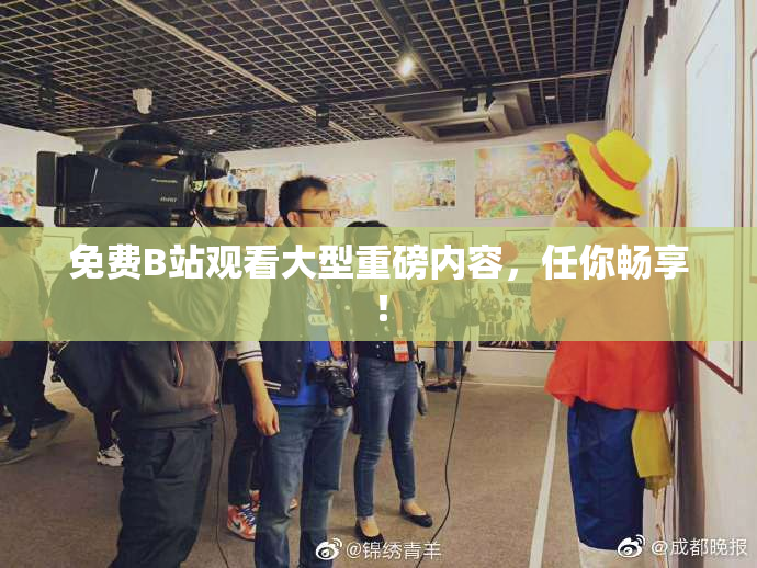 免费B站观看大型重磅内容，任你畅享！