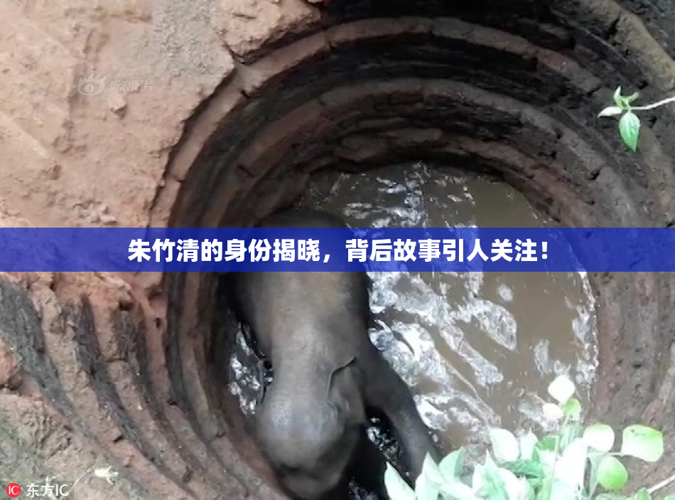 朱竹清的身份揭晓，背后故事引人关注！