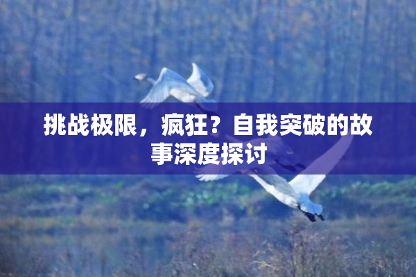 挑战极限，疯狂？自我突破的故事深度探讨