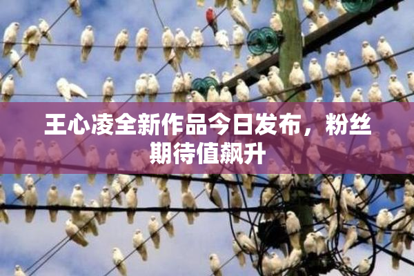 王心凌全新作品今日发布，粉丝期待值飙升