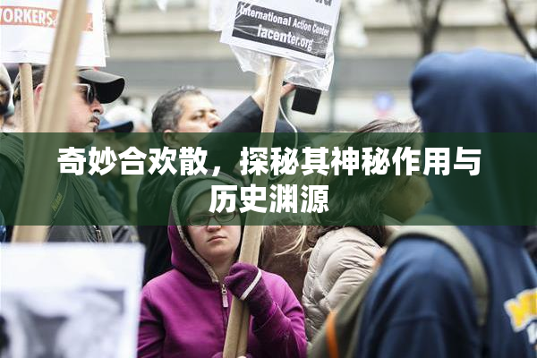 奇妙合欢散，探秘其神秘作用与历史渊源
