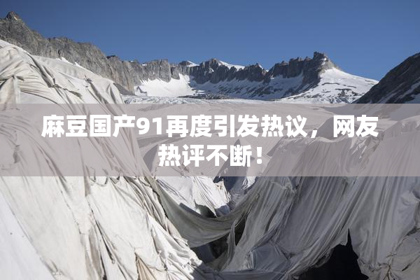 麻豆国产91再度引发热议，网友热评不断！