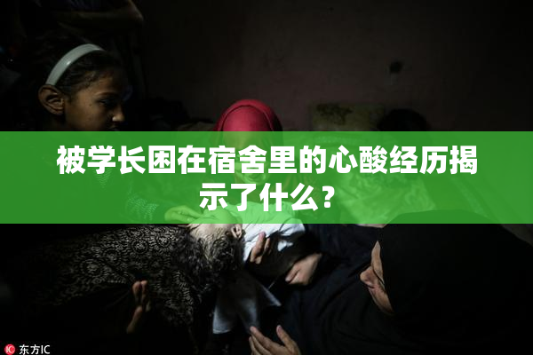 被学长困在宿舍里的心酸经历揭示了什么？