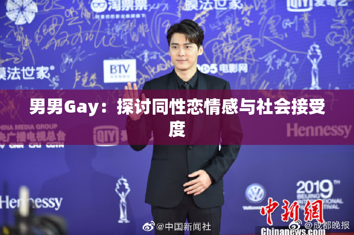 男男Gay：探讨同性恋情感与社会接受度