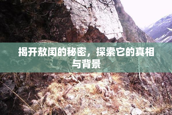 揭开敖闰的秘密，探索它的真相与背景