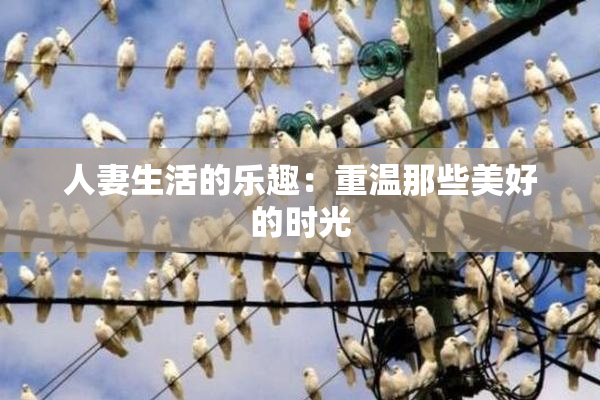 人妻生活的乐趣：重温那些美好的时光
