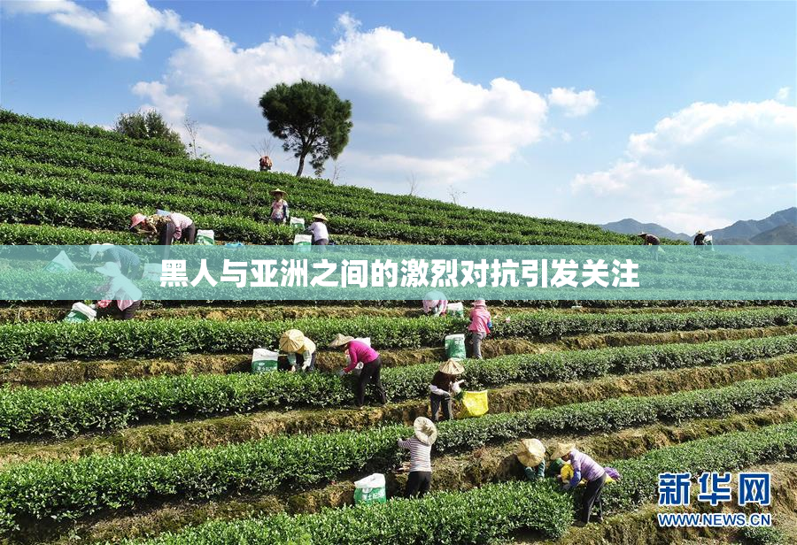黑人与亚洲之间的激烈对抗引发关注