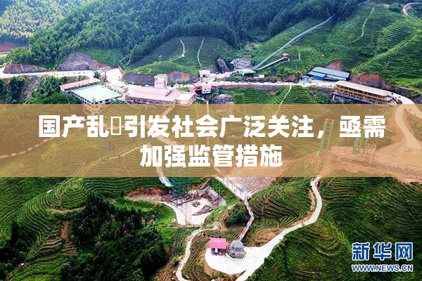 国产乱婬引发社会广泛关注，亟需加强监管措施