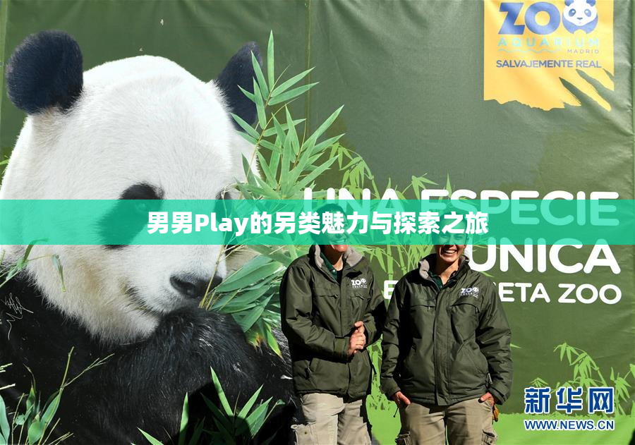 男男Play的另类魅力与探索之旅